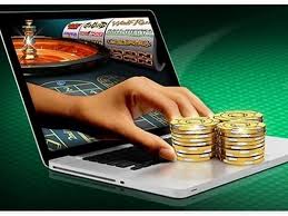 DogsFortune Casino Registration Process 23 DogsFortune Casino Registration Process 23